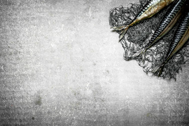 Similar image 15911994