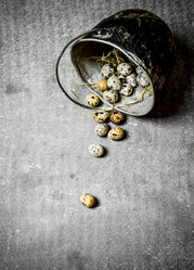 Similar image 15912362