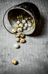 Similar image 15912388