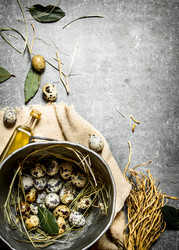 Similar image 15914775