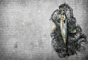 Similar image 15907140