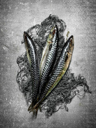 Similar image 15907157