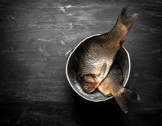 Similar image 15907322