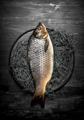 Similar image 15907470