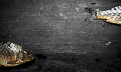 Similar image 15907493