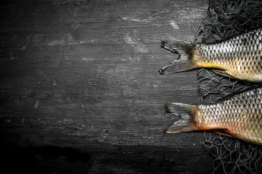 Similar image 15907544