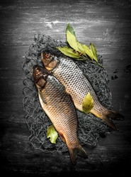 Similar image 15907644