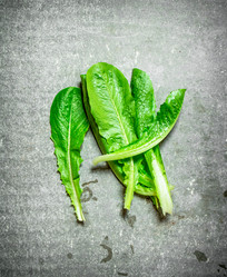 Similar image 15912363