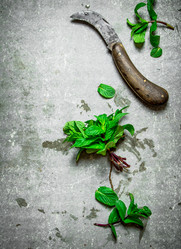 Similar image 15912410