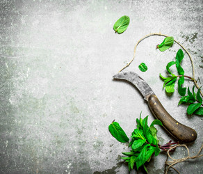 Similar image 15912482