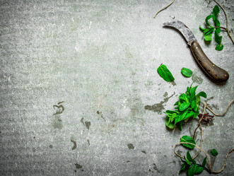 Similar image 15912518