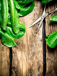 Similar image 15912677