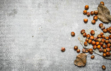 Similar image 15911283