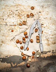 Similar image 15910999