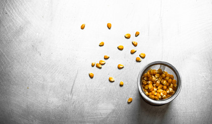 Similar image 15912600