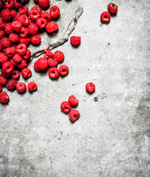 Similar image 15907273