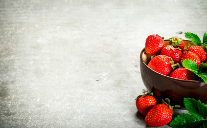 Similar image 15912025