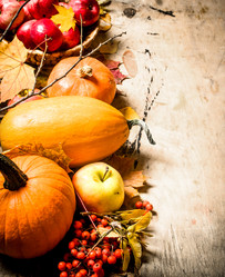 Similar image 15908346