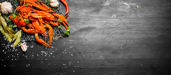 Similar image 15911340