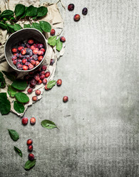 Similar image 15913486