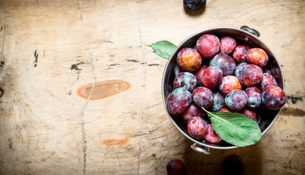 Similar image 15913545