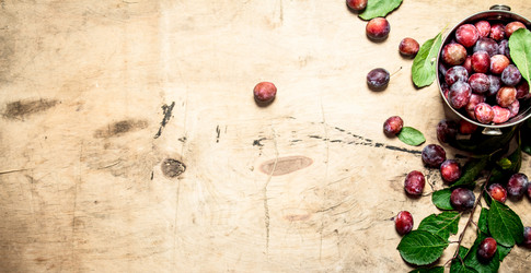 Similar image 15913605