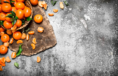 Similar image 15907589