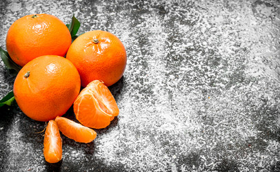 Similar image 15907709