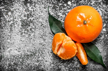 Similar image 15907729