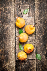 Similar image 15912577