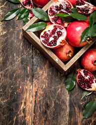 Similar image 15912726