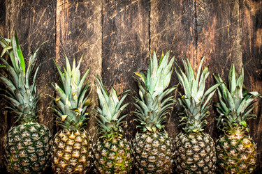 Similar image 15913014