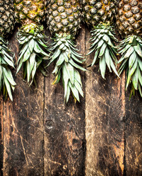 Similar image 15913079