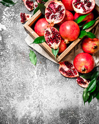 Similar image 15913269