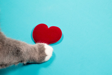 Similar image 15927107