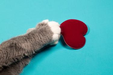 Similar image 15927108