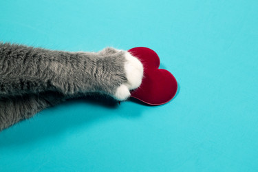 Similar image 15927109