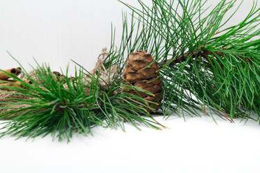 Similar image 15927115