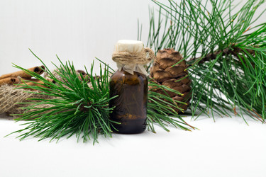 Similar image 15927152