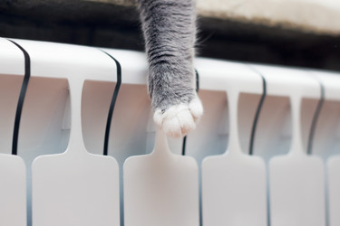 Similar image 15927032