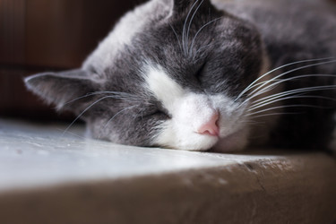 Similar image 15927054