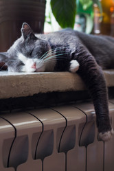 Similar image 15927056