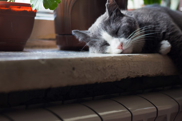 Similar image 15927057