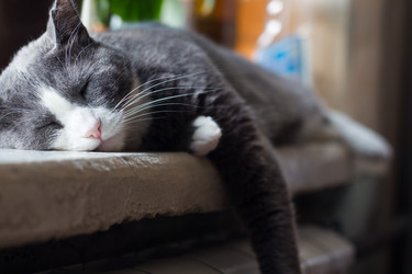 Similar image 15927075