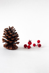 Similar image 15927083