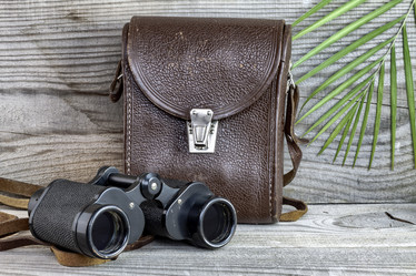 Similar image 15919134