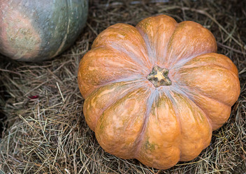 Similar image 15927745