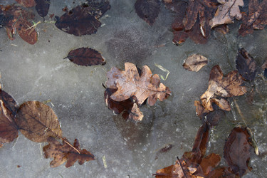 Similar image 15913671