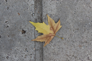 Similar image 15913674