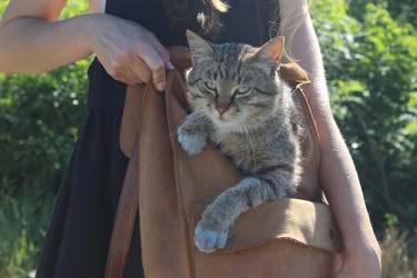 Similar image 15913680